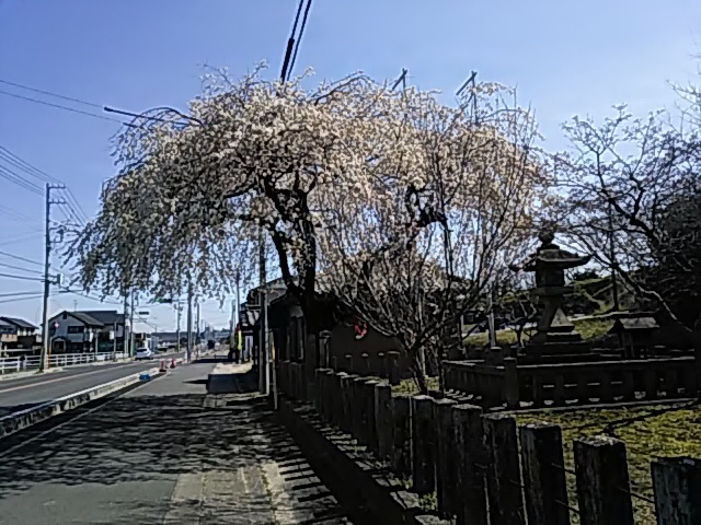 DSC_0030.JPG