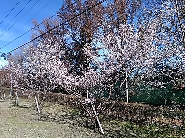 DSC_0033.JPG