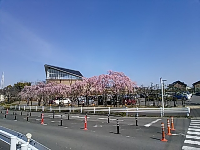DSC_0033.JPG