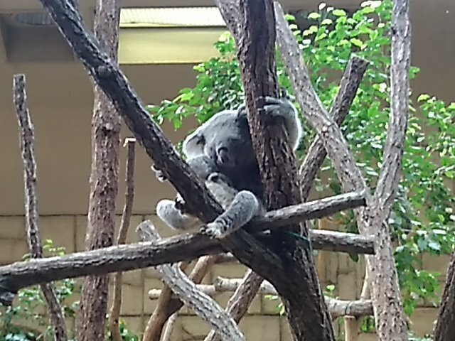 DSC_0337.JPG