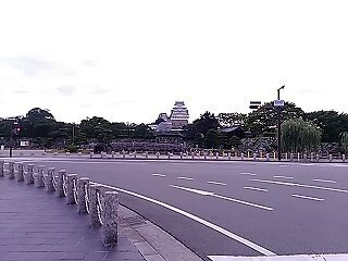 DSC_0392.jpg