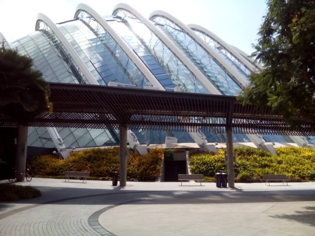 DSC_0466.JPG