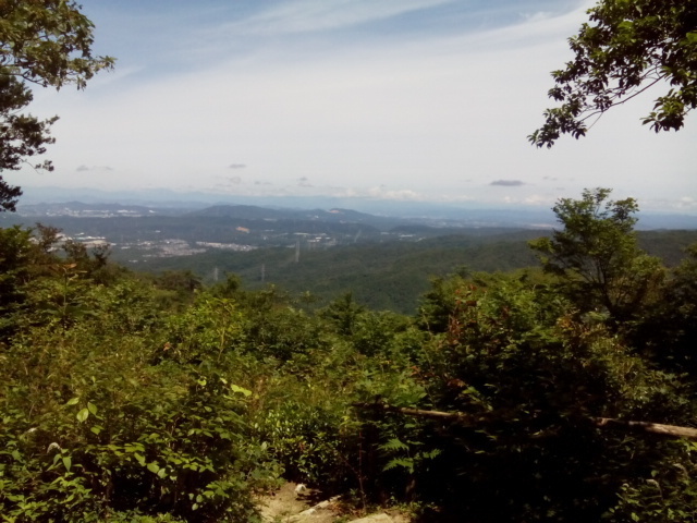 DSC_0699.JPG
