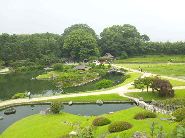 DVC00141.JPG