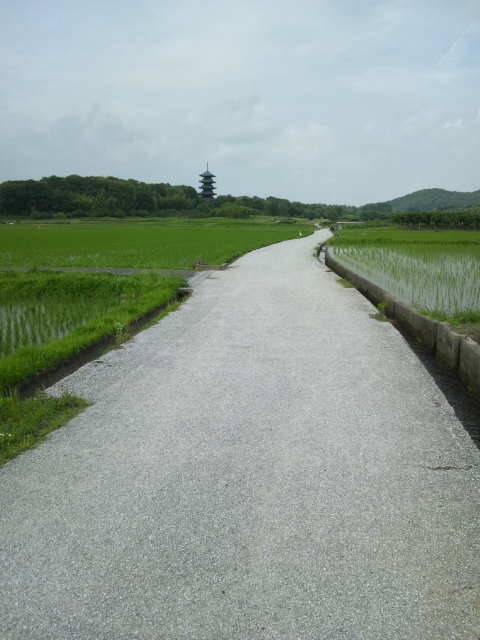 DVC00153.JPG