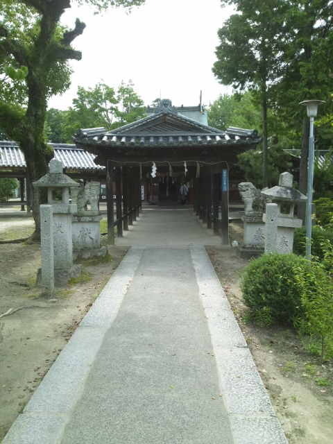DVC00167.JPG