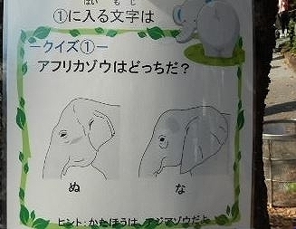 キャプチャ.jpg