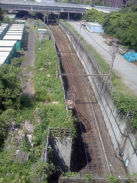 IMG00229.jpg