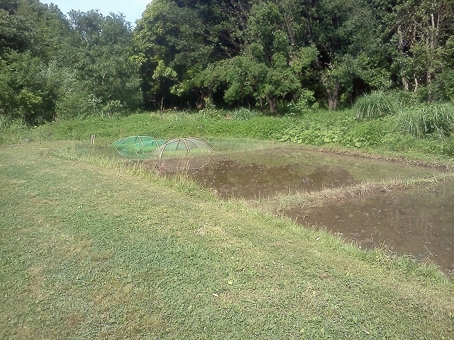 IMG00238.jpg