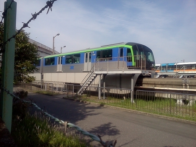 IMG00239.jpg