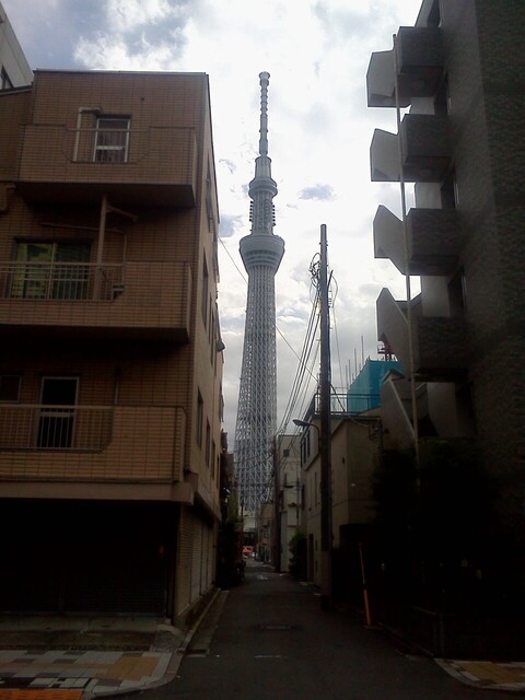 IMG00250.jpg
