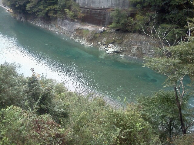 IMG00374.jpg