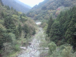 IMG00398.jpg