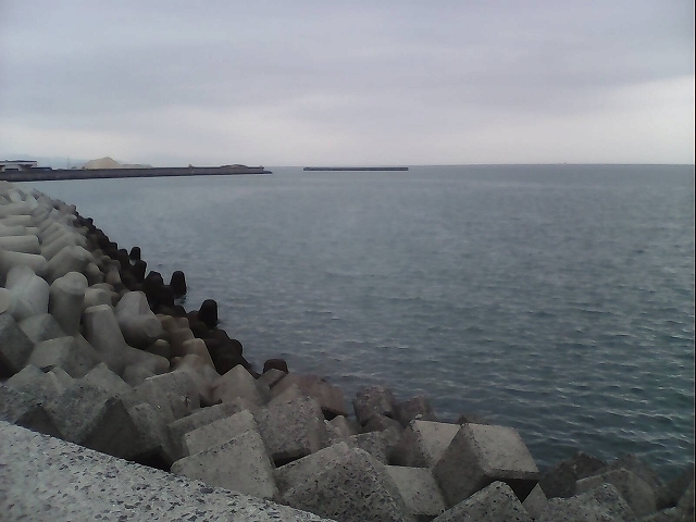 IMG_20150207_131137.jpg