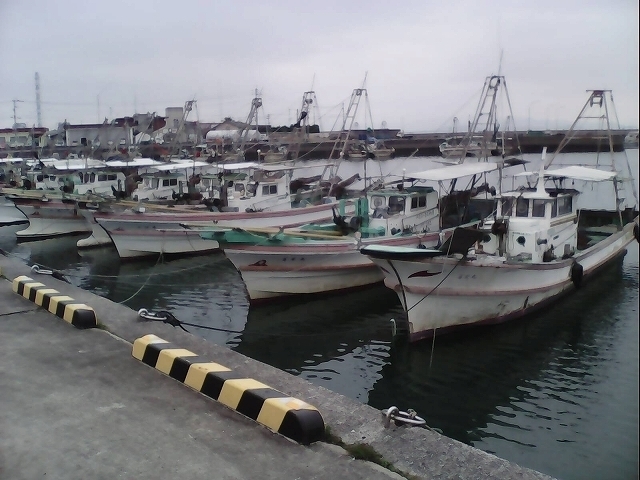 IMG_20150207_132219.jpg