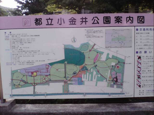 IMG_20150802_080930.jpg