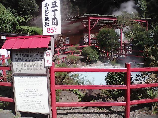 IMG_20151024_110408.jpg