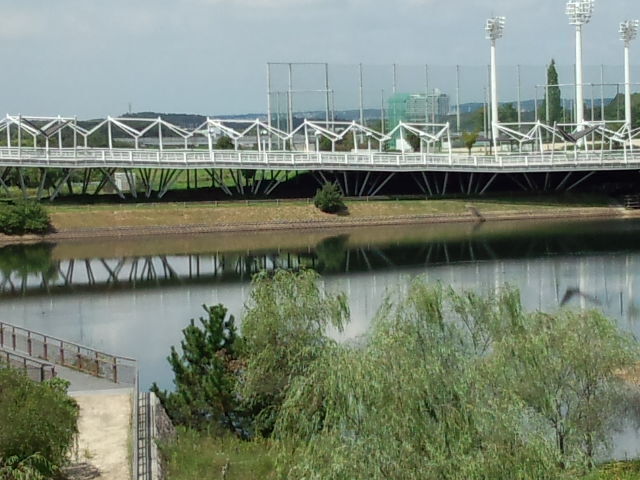 IMG_20160907_112316557.jpg